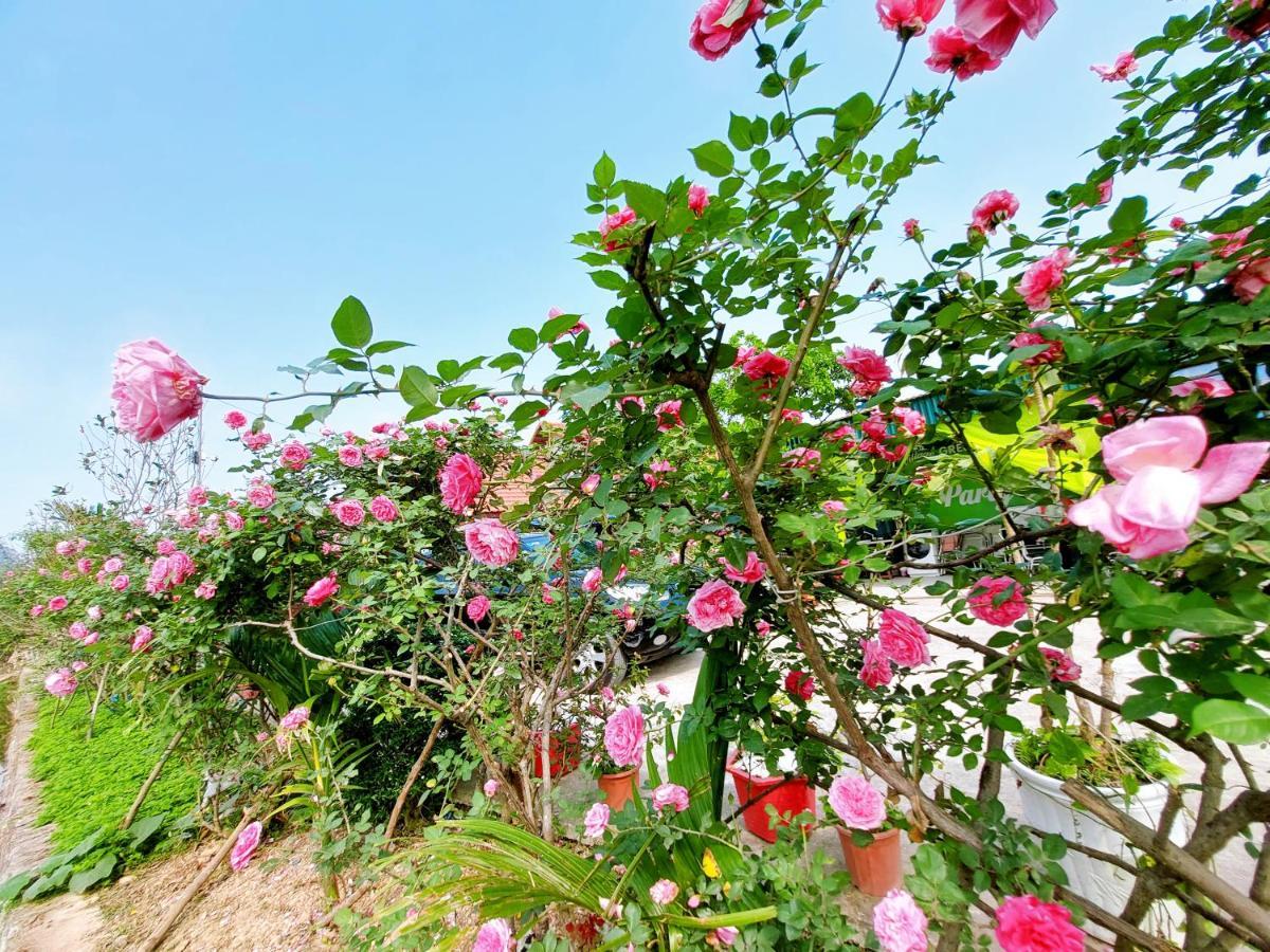 Ninh Binh Green Farmstay La Phu (Ninh Binh) Exterior foto
