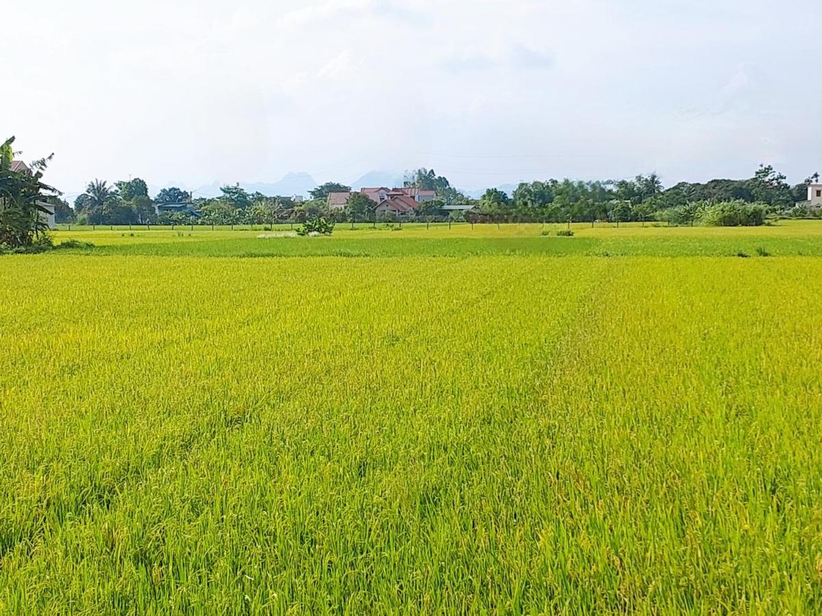 Ninh Binh Green Farmstay La Phu (Ninh Binh) Exterior foto
