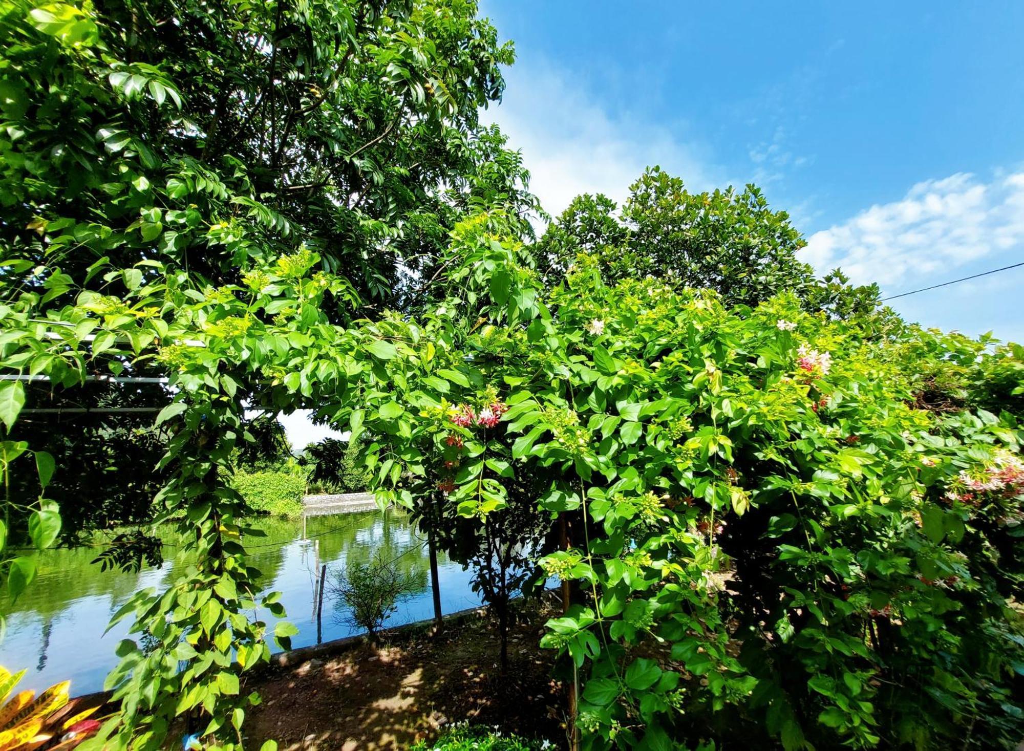 Ninh Binh Green Farmstay La Phu (Ninh Binh) Exterior foto